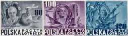 Bojownicy o wolność i demokrację