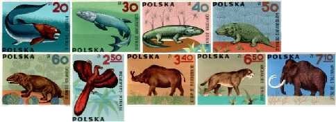 Zwierzęta kopalniane - kręgowce
