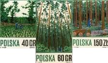 Gospodarka leśna