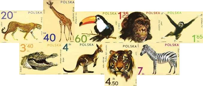 Zwierzęta ogrodów zoologicznych