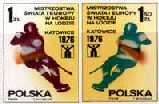 Mistrzostwa Świata i Europy w hokeju na lodzie w Katowicach