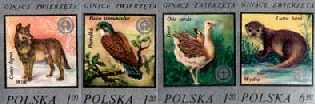 Ochrona środowiska - ginące zwierzęta