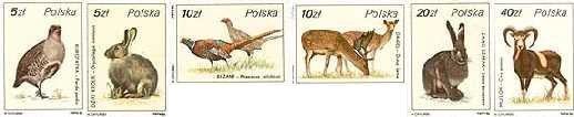 Ptactwo i zwierzyna łowna