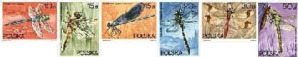 Ważki polskie