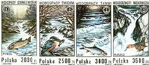 Wodospady polskie