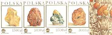 Szlak bursztynowy
