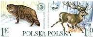 Polsko-ukraińska współpraca przygraniczna w dziedzinie ochrony środowiska