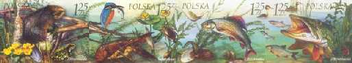 Fauna i flora akwenów słodkowodnych