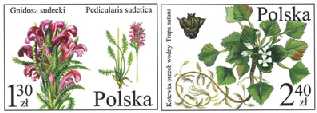 Chronione i zagrożone gatunki flory polskiej